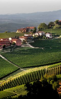 Prunotto Wine Tasting at Hedonism cover