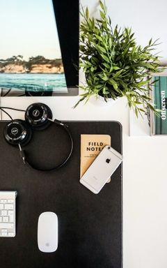 Marketing Minds