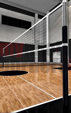 Play volleyball cover