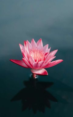 Women's  meditation club
