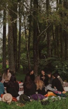 Singing workshop in nature 🎶🌱 cover