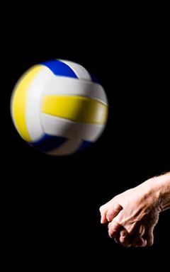 Volleyball at Green Park cover