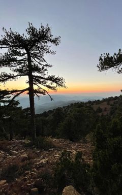 Hike in Troodos Mountains cover