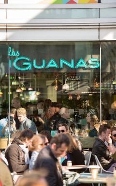 Las iguanas girls meet up cover