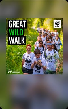 Great Wild Walk cover