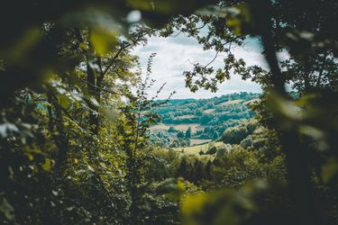 9 image in gallery