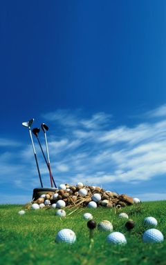 Golfing Social Gathering cover