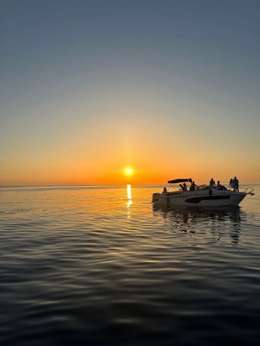 7 image in gallery