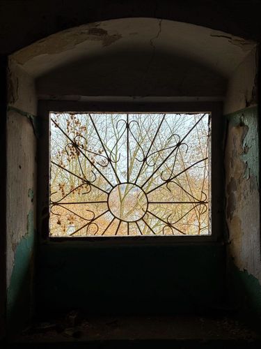 7 image in gallery