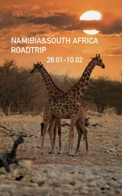 Namibia&South Africa cover