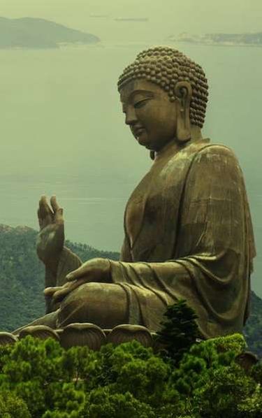 1 image in gallery
