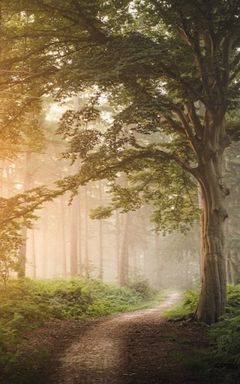 Dynamic Hiking (free event) cover