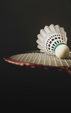 Badminton games in West London cover