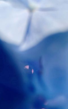 Цветочный фотодень-девичник 🌸 cover