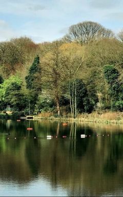 Cold swimming in Hampstead Ponds 💥 cover