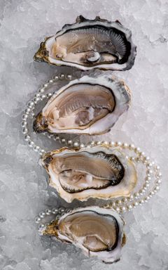 Warsaw IT Girls Oysters Networking Dinner cover