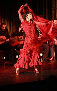 Flamenco & Juerga 💃 cover