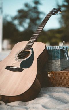 🎸 Guitar learners / professionals cover