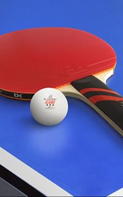 Ping pong cover