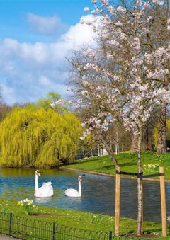 Regents Park Walk and Camden Garden Centre cover