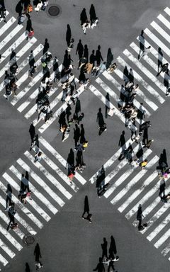 Business and Networking in Milan