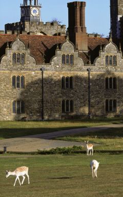 Visit Knole Estate, National Trust - Kent cover