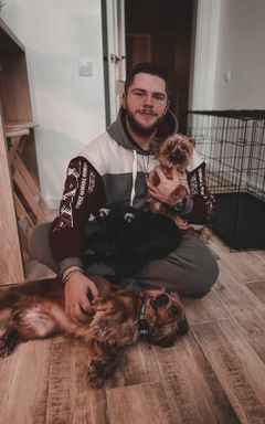 Зустріч Pet Sitters Warsaw 🖤 cover