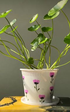 Upcycle waste packaging cover