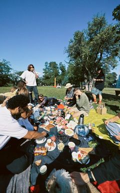 Picnic in Kampinos Park by bikes 🚴‍♀️🚴 cover