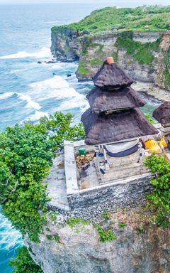 The Bali community cover