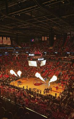 NBA. Просмотры. Результаты. Поездки. Фентази