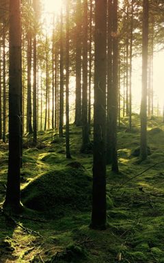 Hike po polsku cover