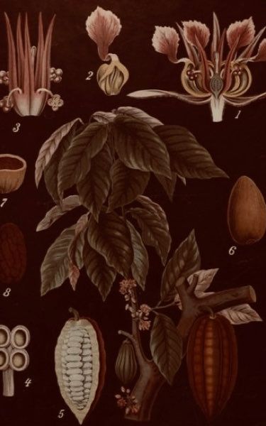 3 image in gallery