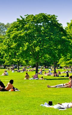 City Park Picnic cover