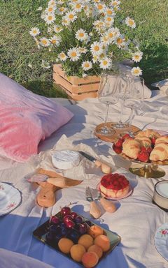 Girls Picnic 🌸 cover