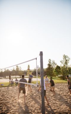 Volleyball Day Out cover
