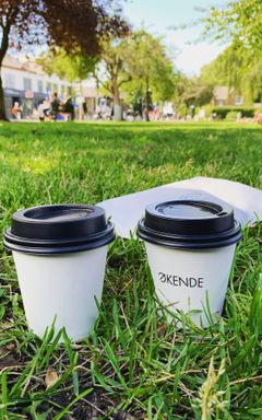 Gladstone park Locals Morning ☕️ cover