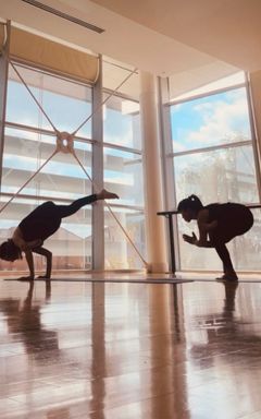 Journey towards Arm Balances- 2 1/2 hr workshop” cover