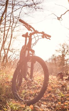 Let's ride a bike cover