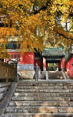 Meet Shaolin Monk cover