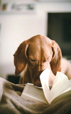LIC Book Club