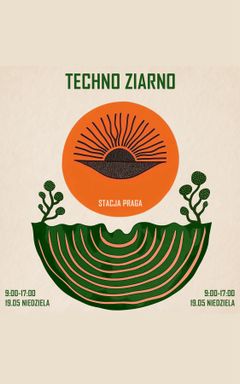 TECHNO ZIARNO cover