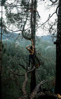 Callisthenics for everyone cover