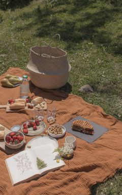 Chatty Blanket Picnic cover