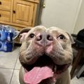 Jessie's avatar