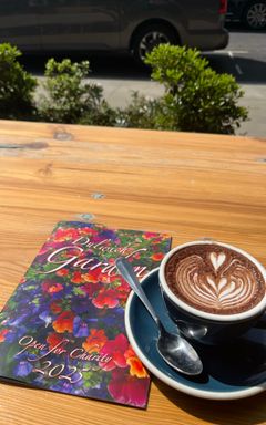 Dulwich Village Ladies cover
