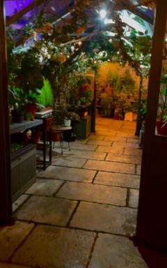 Outdoor Garden Drinks & Tacos Social cover