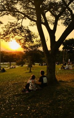 Free YOGA and PICNIC in HAMPSTEAD HEATH PARK cover