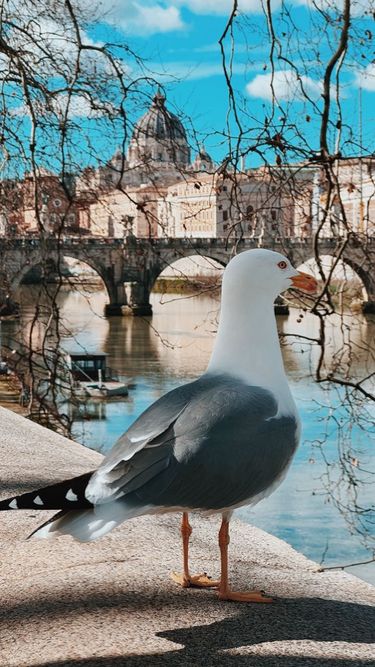 9 image in gallery