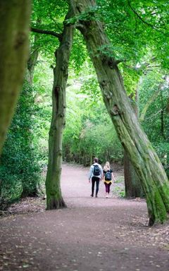 Hiking 🥾 Epping Forest and Green Trail Circular cover